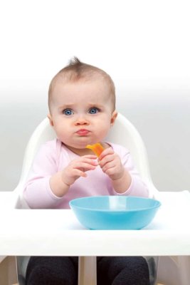 Bir Aylıq Köprünün Qidalanması