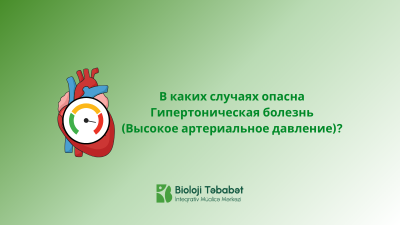 В каких случаях опасна Гипертоническая болезнь (Высокое артериальное давление)?