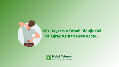 Ofis Həyatının Səbəb Olduğu Bel və Kürək Ağrıları Necə Keçər?